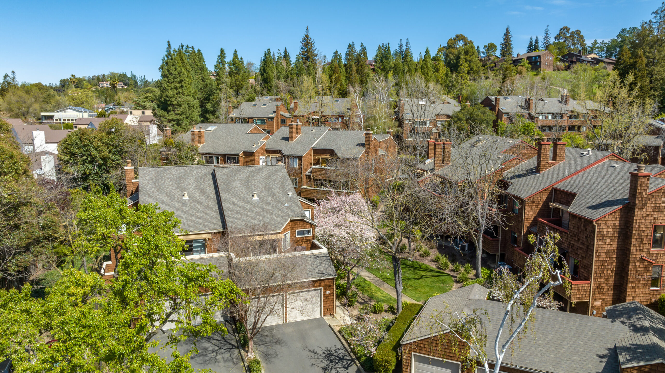 031_20 Royston Walk3