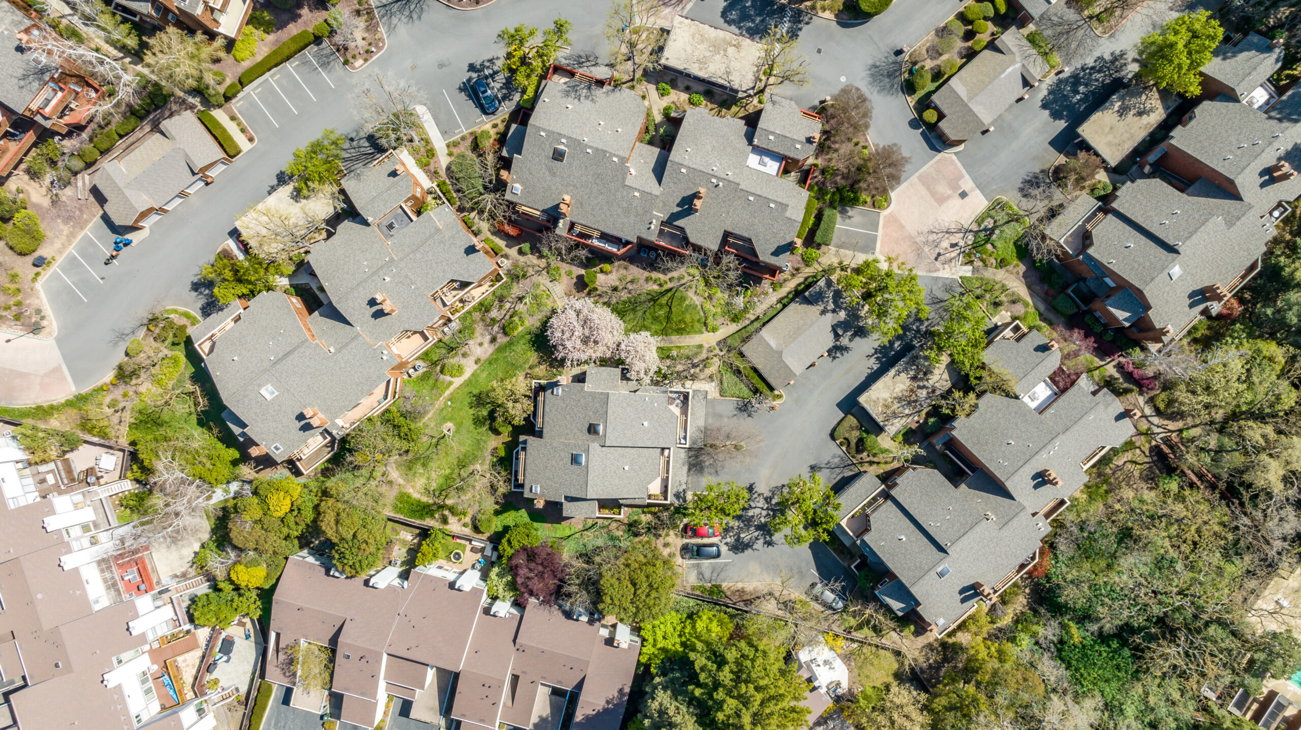 037_20 Royston Walk9