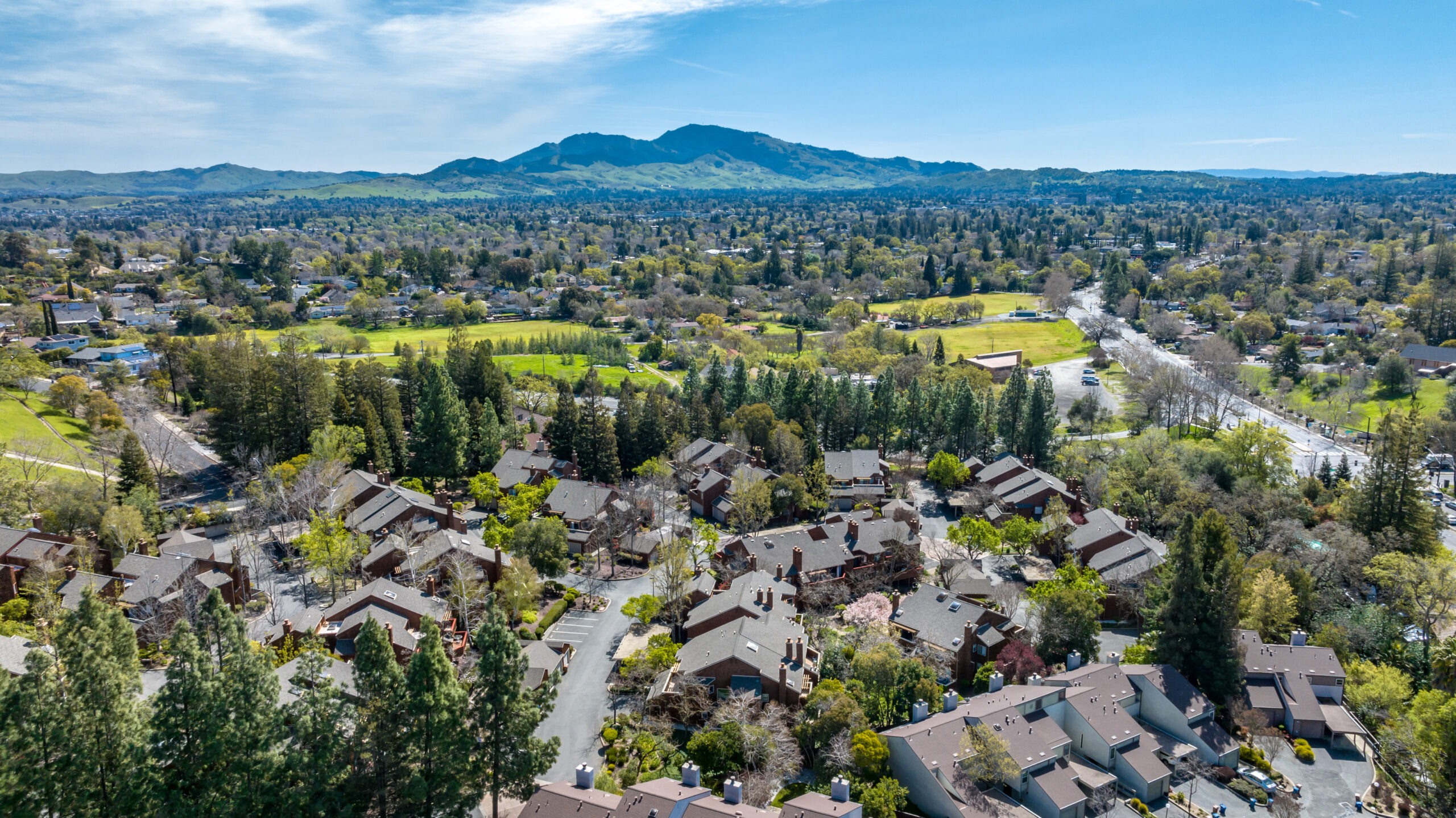 038_20 Royston Walk10