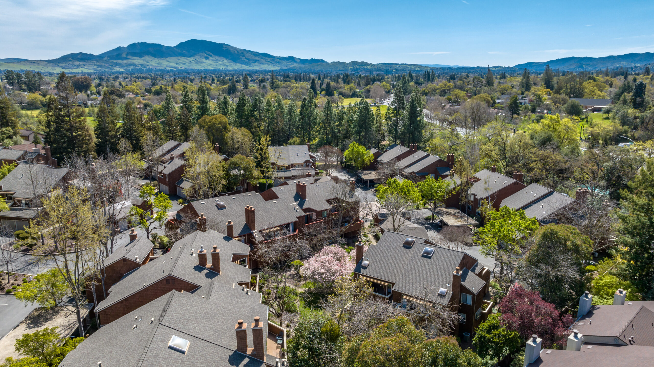 039_20 Royston Walk11